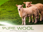 Preview: Hefel Pure Wool Schafwollkissen